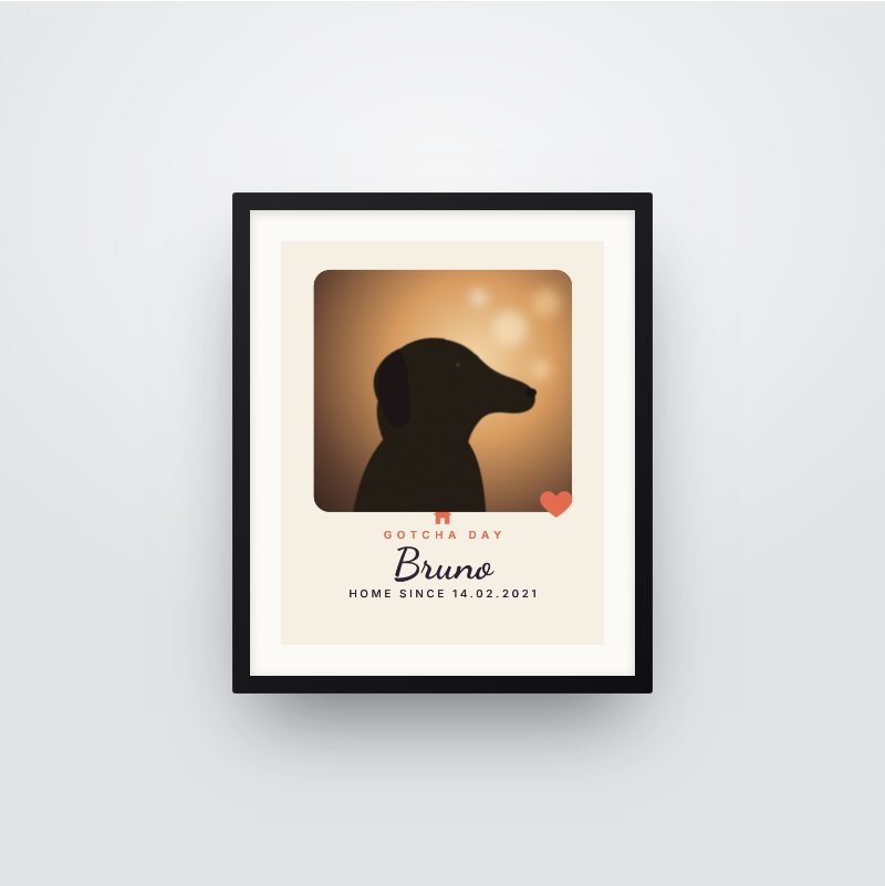 Gotcha Day Frame
