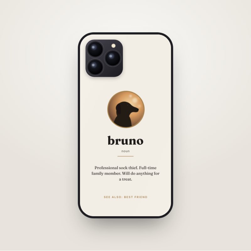 Pet Dictionary phone case