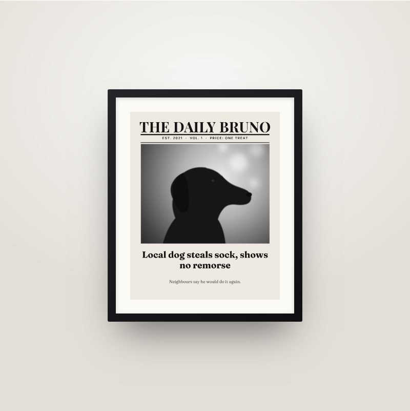 The Daily Pet Frame
