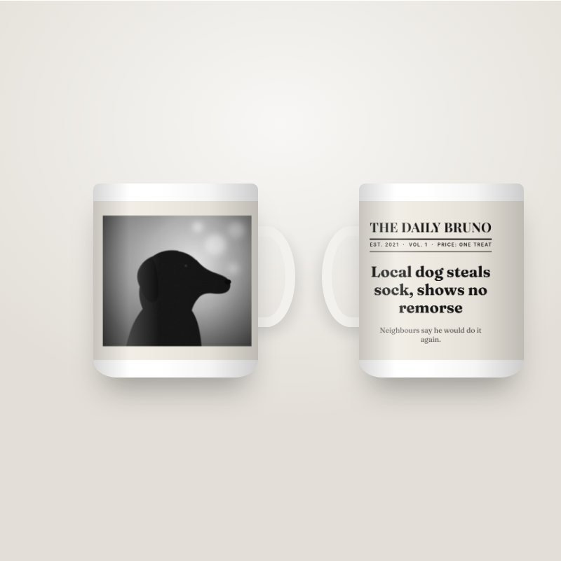 The Daily Pet Mug