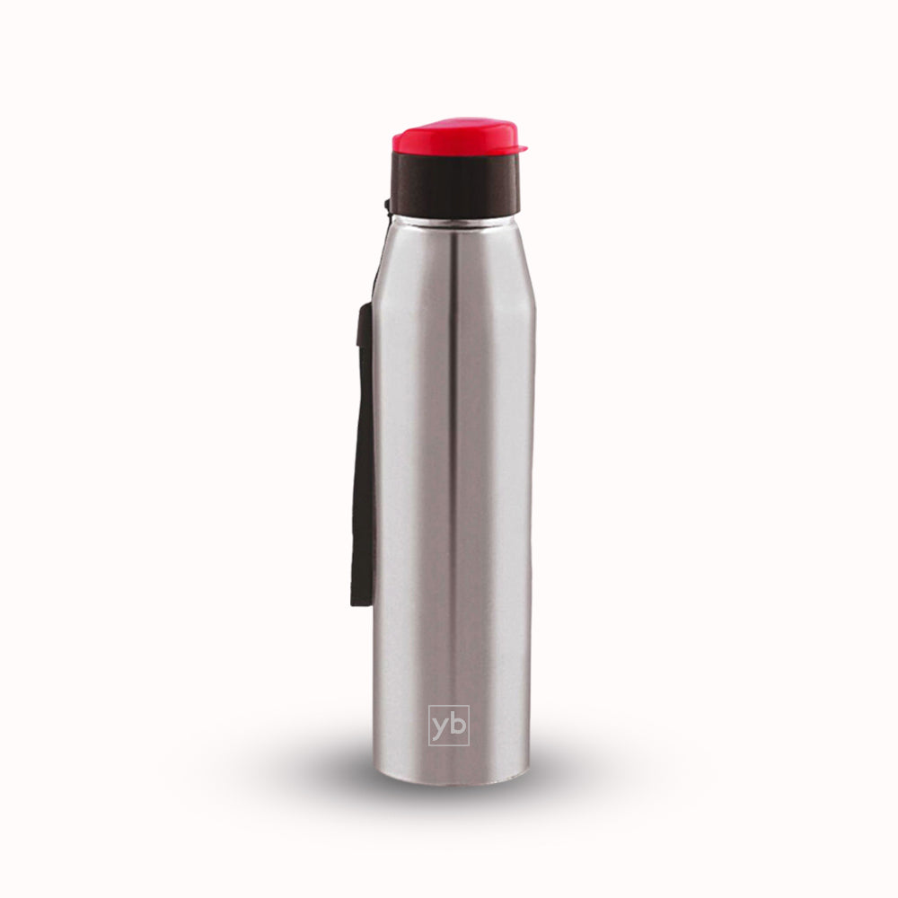 Flippy Stainless Steel Bottle with Flip Top Colored Lid, 700ml Capacity, Available in Natural Silver