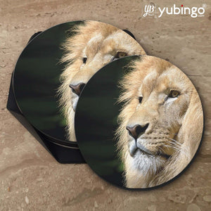 Lion Coasters-Image5