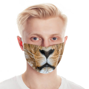 Portrait of Lion Mask-Image5